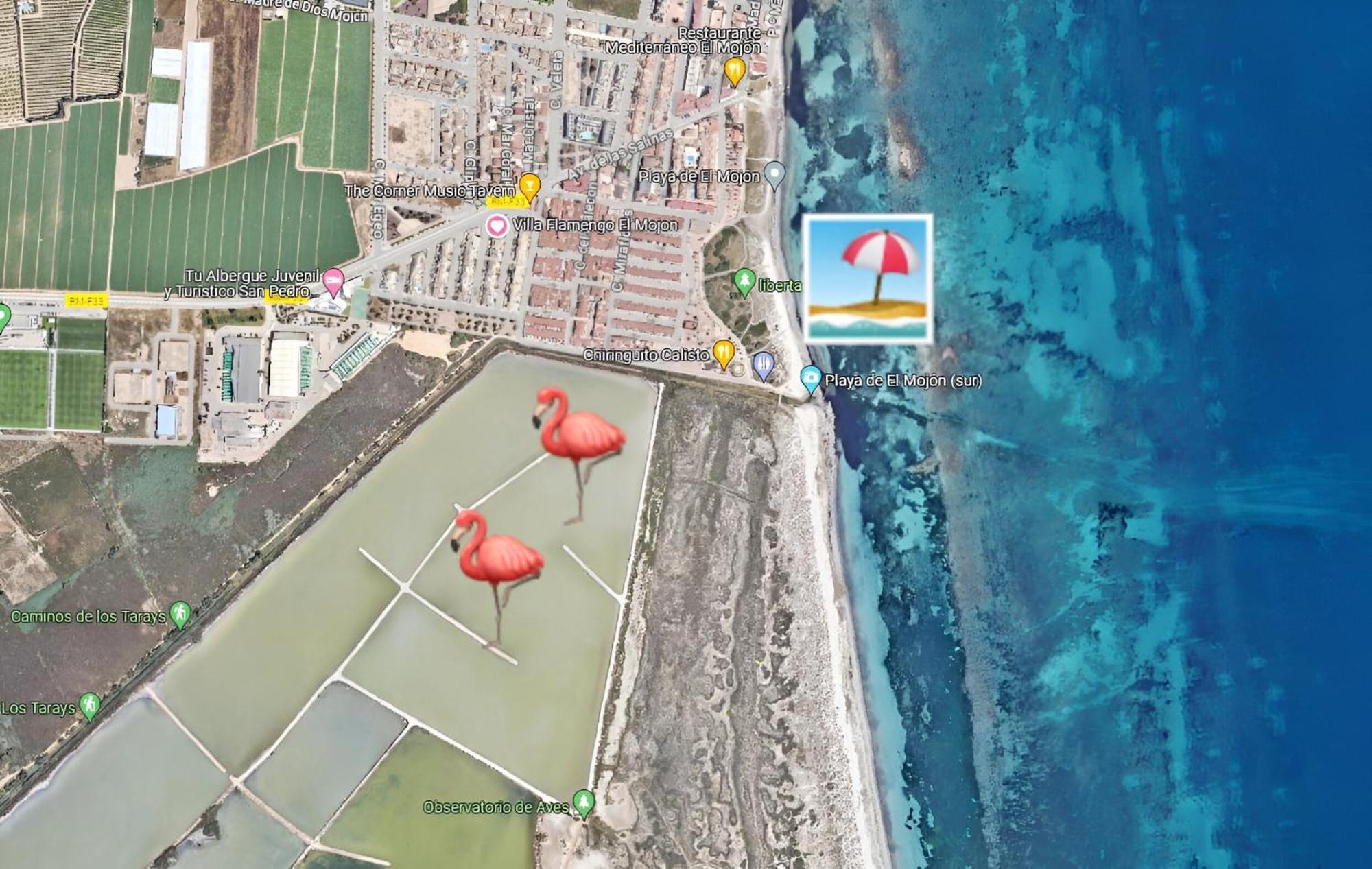 Flamingo Vila Alicante San Pedro del Pinatar Luaran gambar