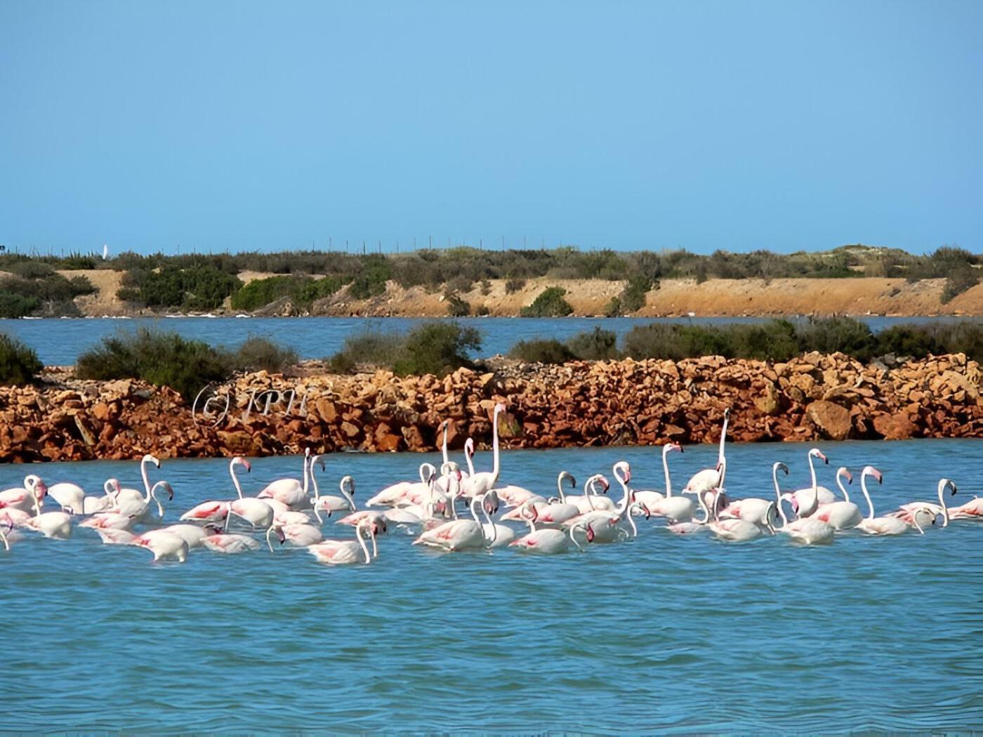 Flamingo Vila Alicante San Pedro del Pinatar Luaran gambar
