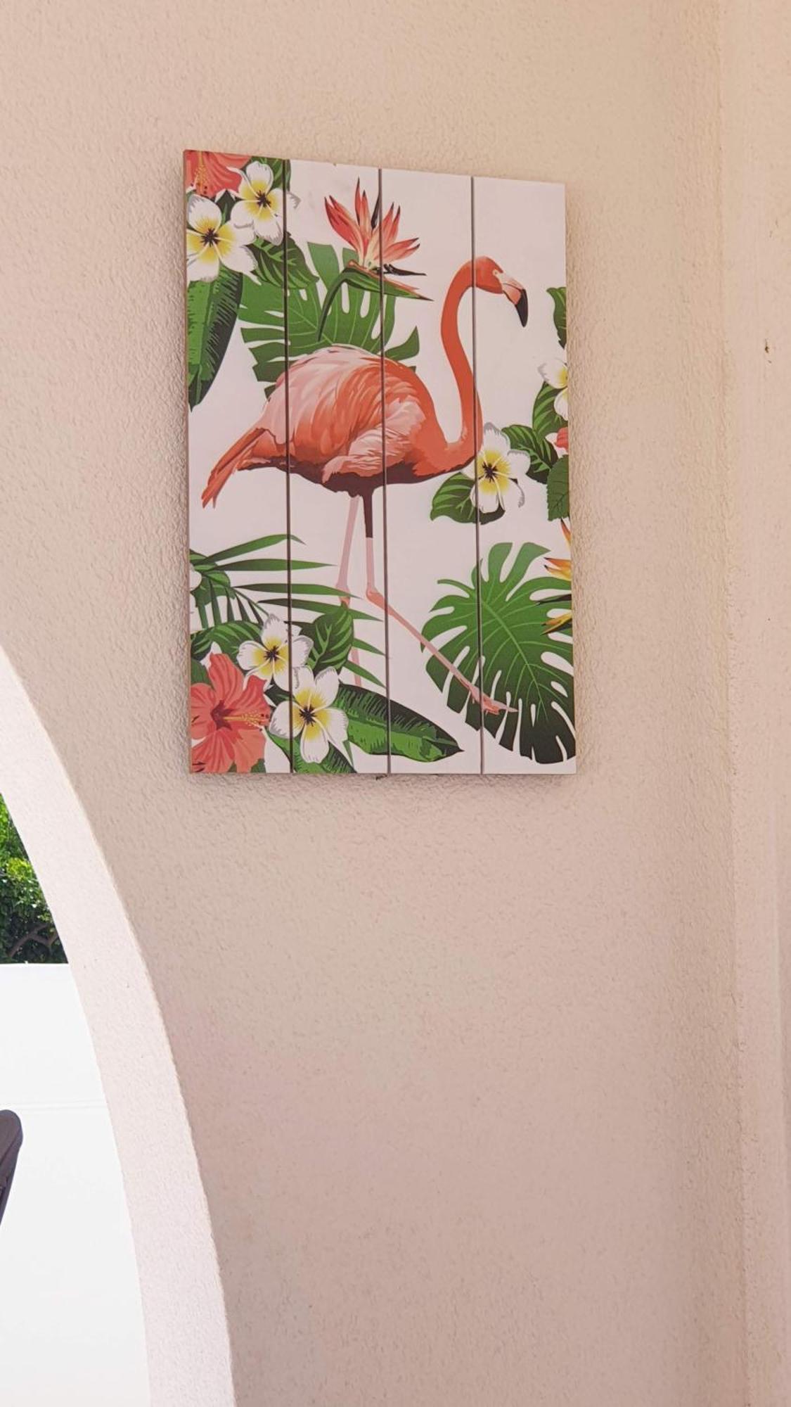 Flamingo Vila Alicante San Pedro del Pinatar Luaran gambar